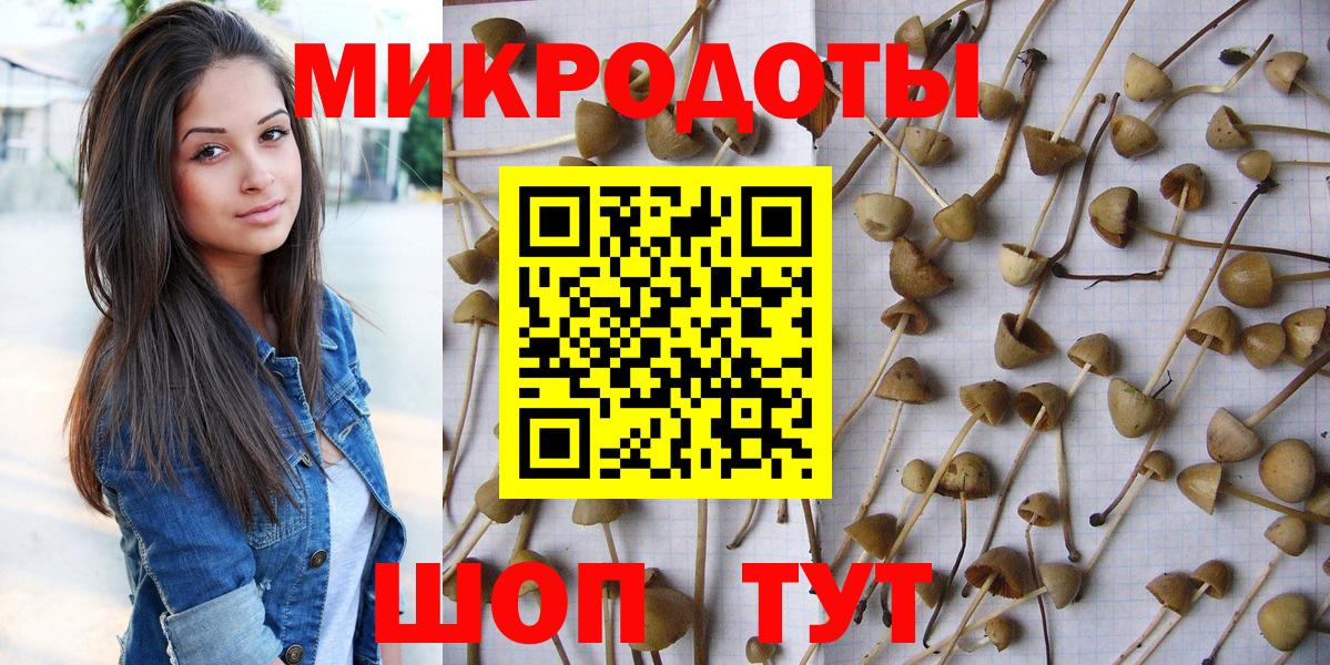 закладки  Вход с VPN  Новокуйбышевск  Галлюциногенные грибы GOLDEN TEACHER  Псилоцибиновые грибы Cubensis 