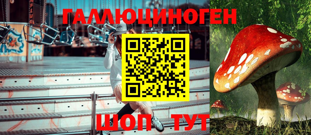 Галлюциногенные грибы Psilocybine cubensis Новокуйбышевск